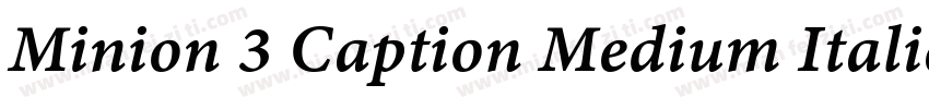 Minion 3 Caption Medium Italic字体转换
